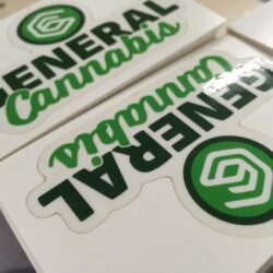 Printed Transparent Stickers