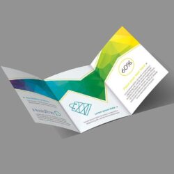 444 x 210 printed trifold brochure